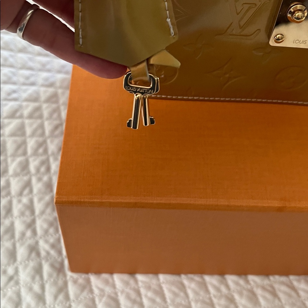Louis Vuitton Gold Mini Bag - Picture 14 of 14